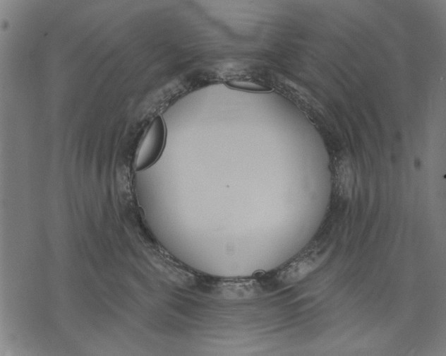 X0000071770571200607211535