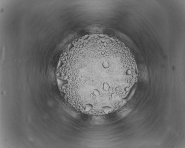 X0000071770573200607211535