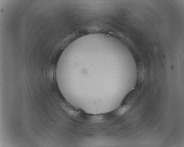 X0000071770574200607211535