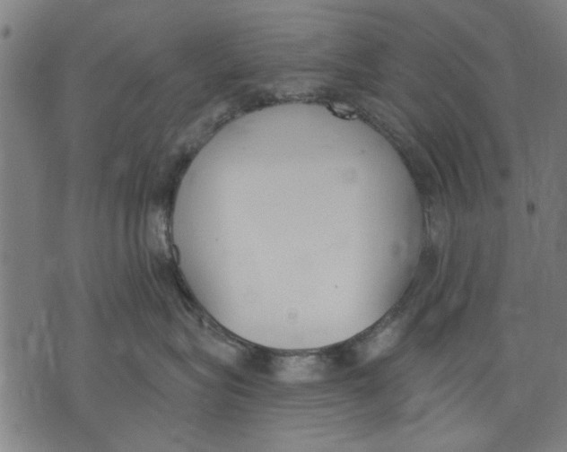 X0000071770575200607211535