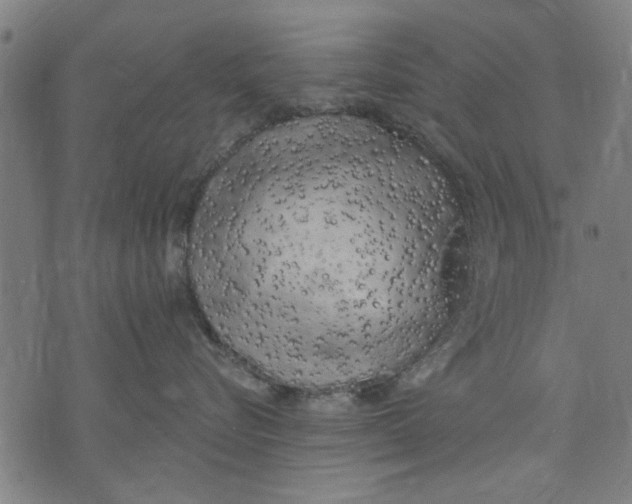 X0000071770576200607211535