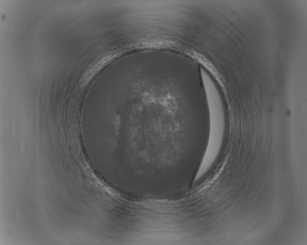 X0000071770577200607211534