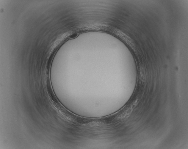 X0000071770578200607211534