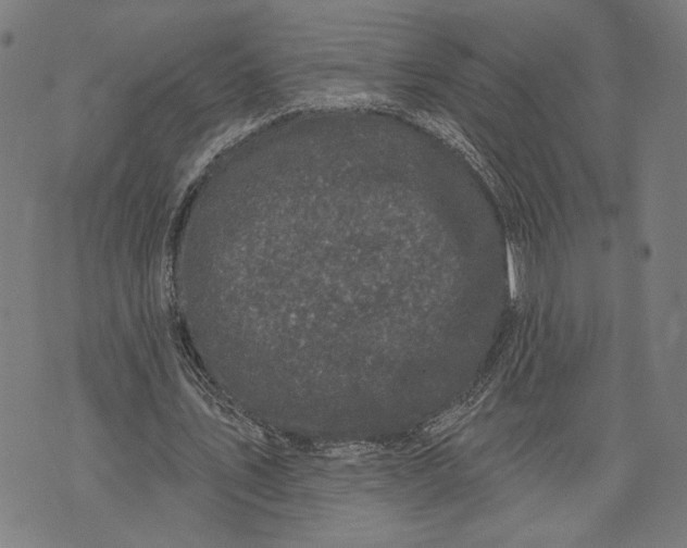 X0000071770579200607211534