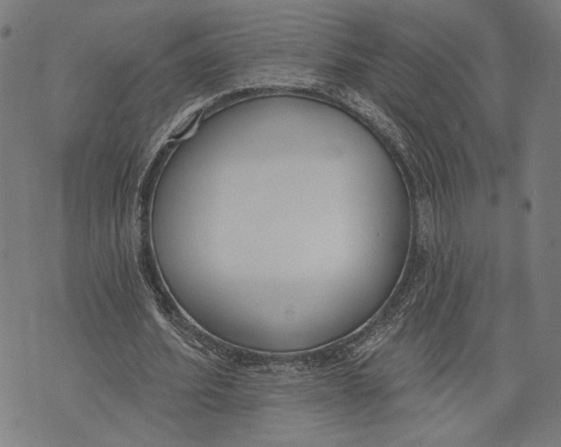 X0000071770580200607211534