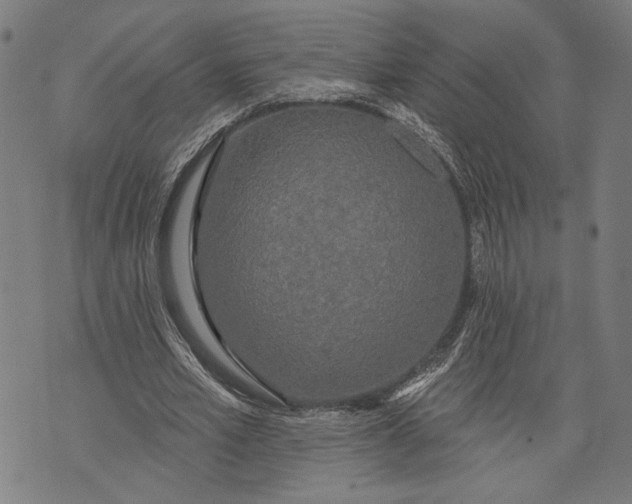 X0000071770581200607211534