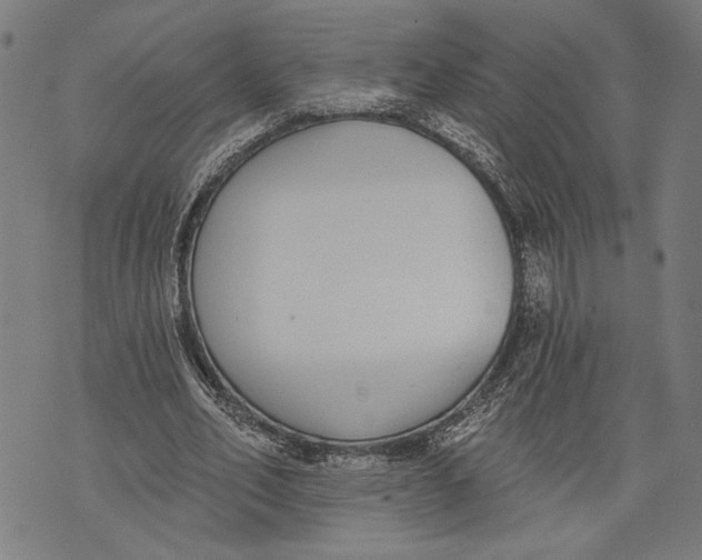 X0000071770582200607211534