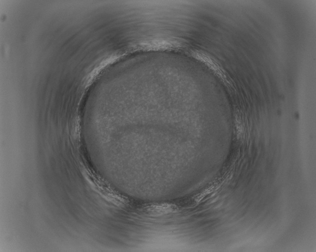 X0000071770583200607211534