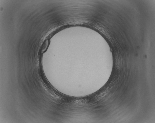 X0000071770584200607211534