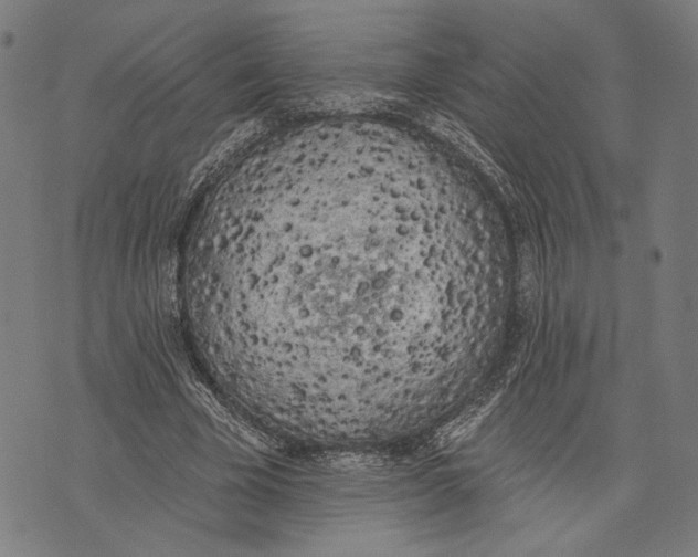 X0000071770585200607211534