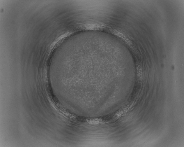 X0000071770587200607211534