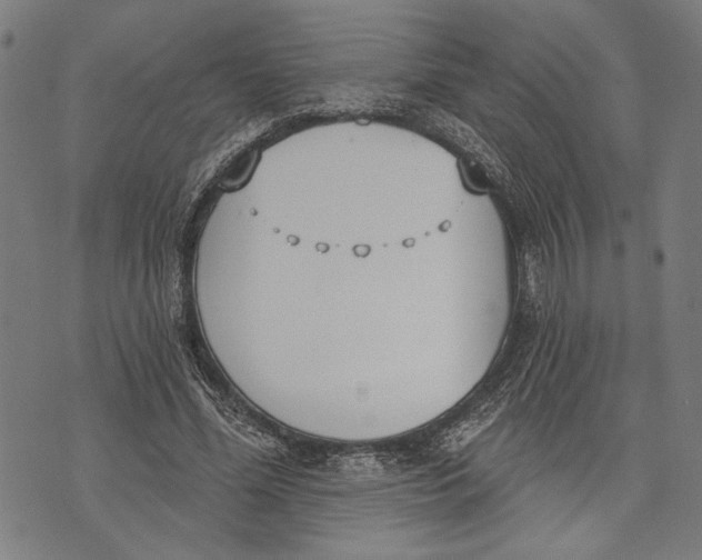 X0000071770588200607211534