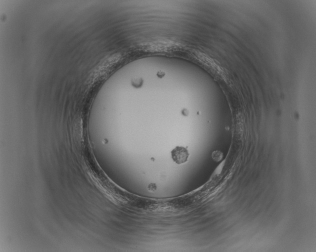 X0000071770589200607211534