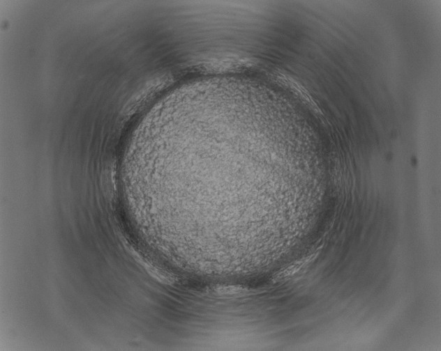 X0000071770590200607211534