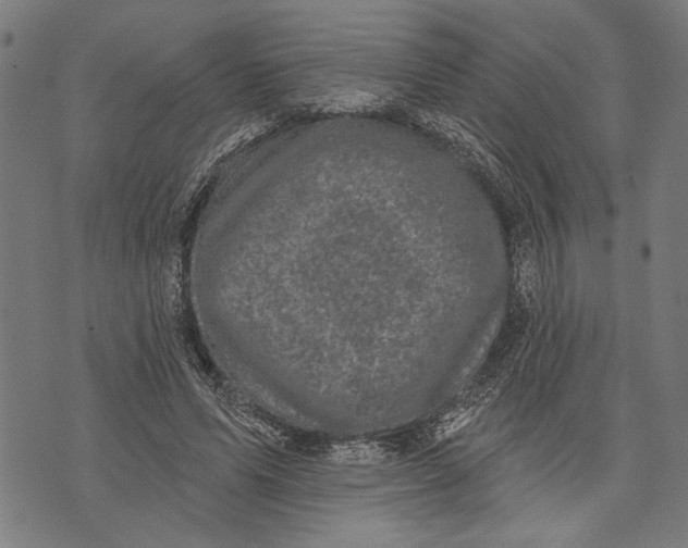 X0000071770591200607211534