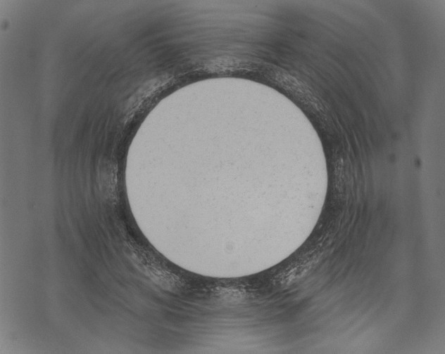 X0000071770592200607211534