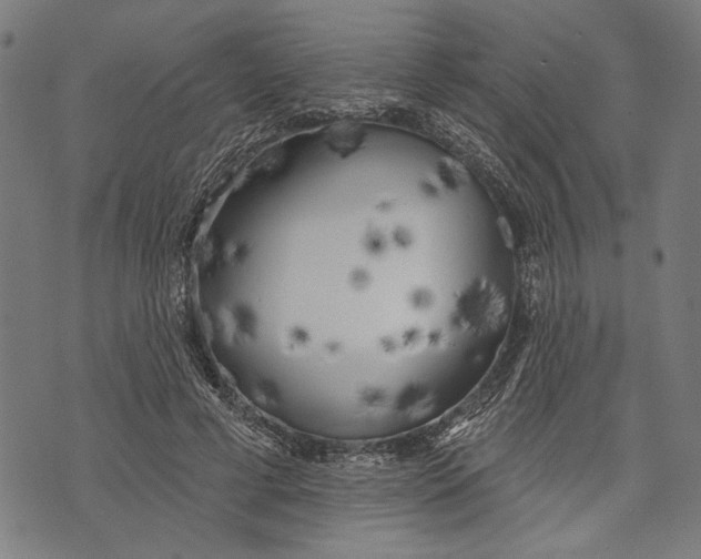 X0000071770593200607211534