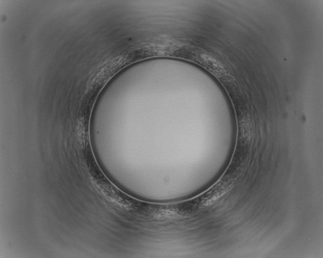 X0000071770594200607211534