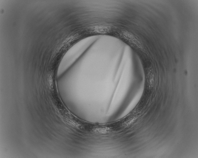 X0000071770595200607211534