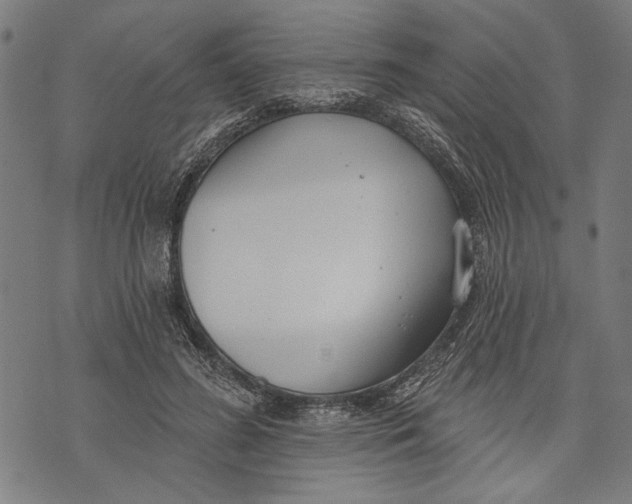 X0000071770596200607211534