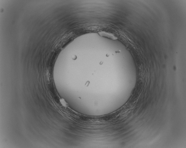 X0000071770597200607211534