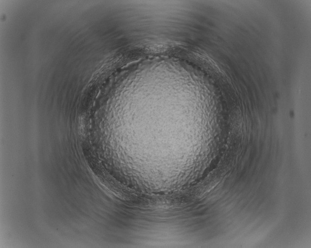 X0000071770598200607211534