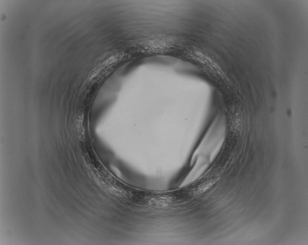 X0000071770599200607211534