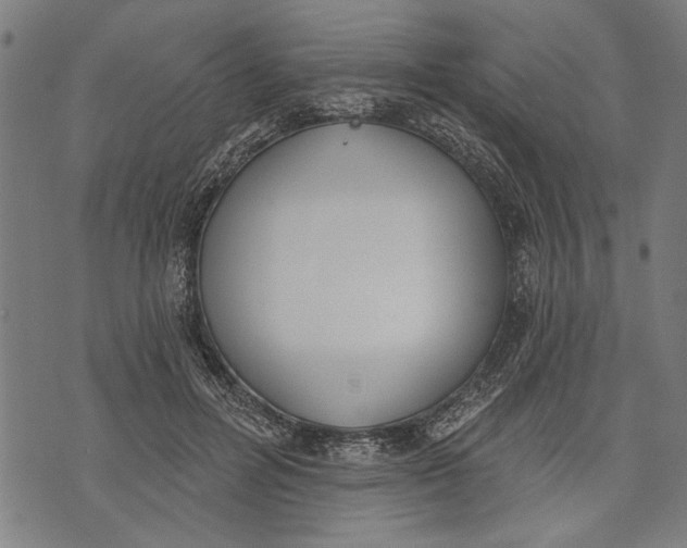 X0000071770600200607211534