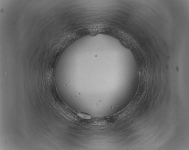 X0000071770601200607211534