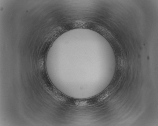 X0000071770602200607211534