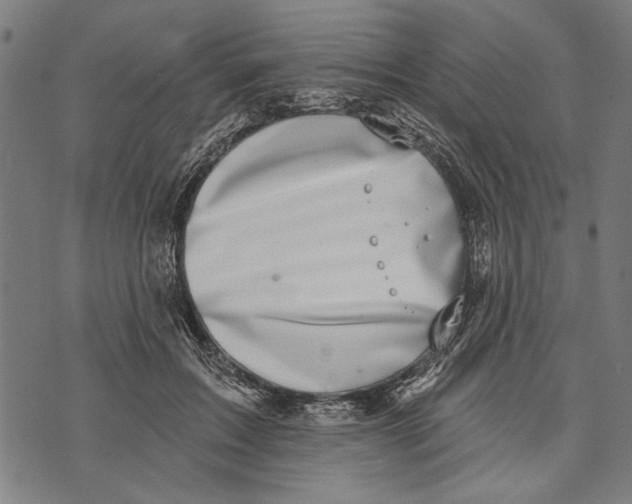 X0000071770603200607211534