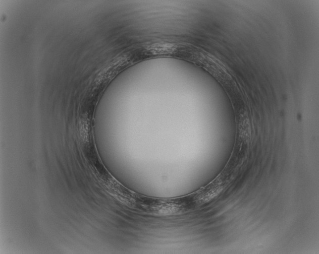 X0000071770604200607211534