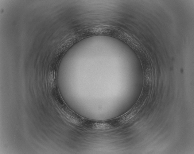 X0000071770605200607211534