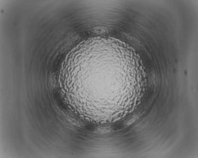 X0000071770606200607211533