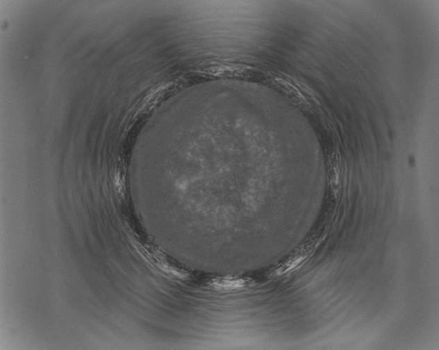 X0000071770607200607211533