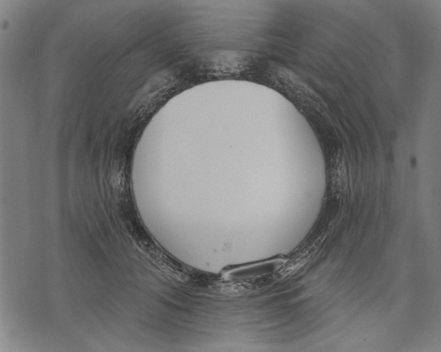 X0000071770608200607211533