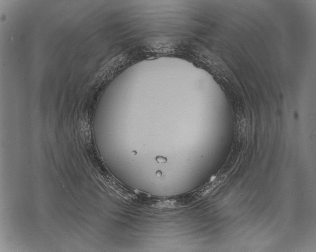 X0000071770609200607211533