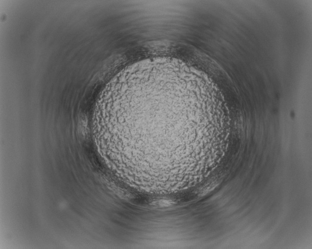 X0000071770610200607211533