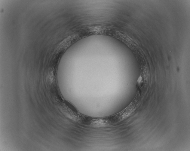 X0000071770611200607211533