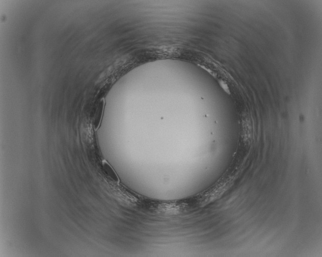 X0000071770613200607211533