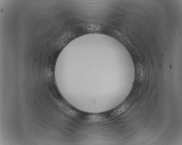 X0000071770614200607211533