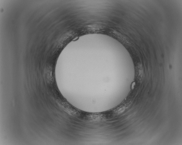 X0000071770615200607211533