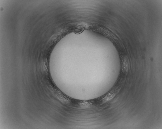 X0000071770616200607211533