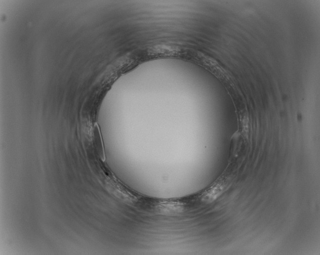 X0000071770617200607211533