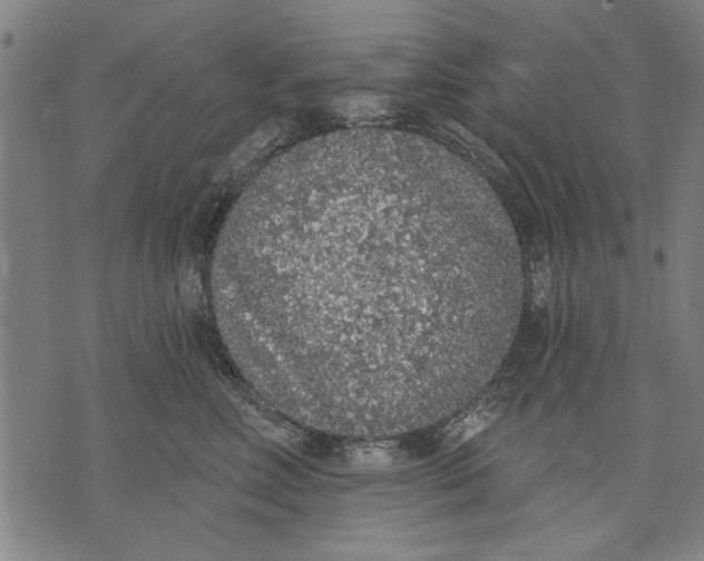 X0000071770618200607211533