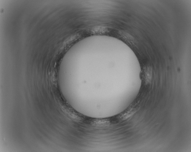 X0000071770619200607211533