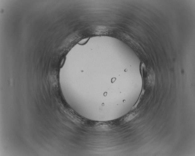 X0000071770620200607211533