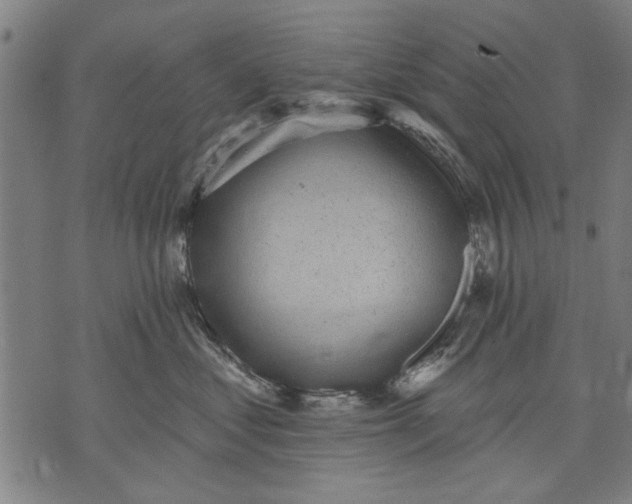 X0000071770621200607211533