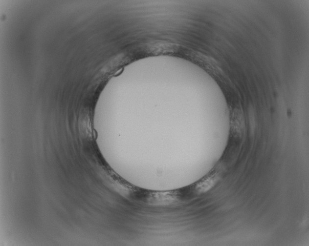 X0000071770622200607211533