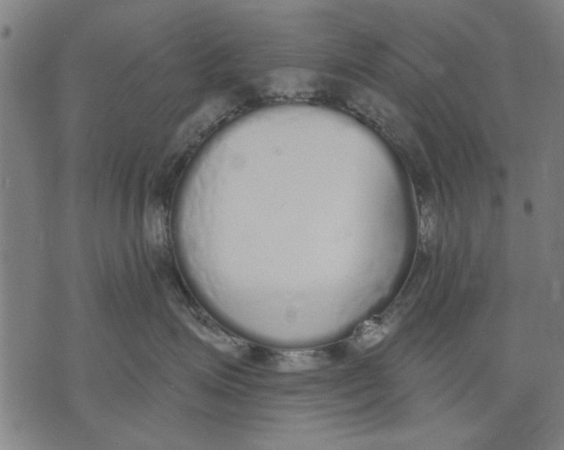 X0000071770623200607211533